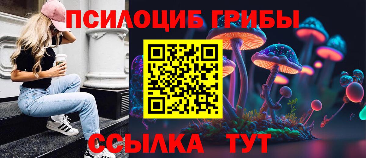 Галлюциногенные грибы Psilocybe  Галлюциногенные грибы GOLDEN TEACHER  Вход с VPN  Кулебаки 