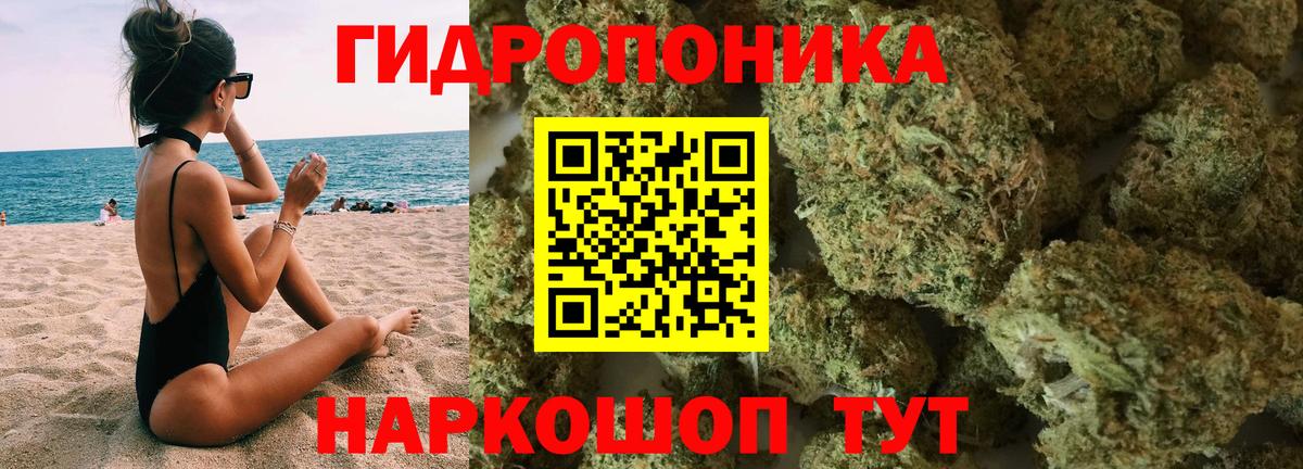 Бошки Шишки Amnesia Кулебаки